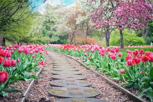 beau jardin