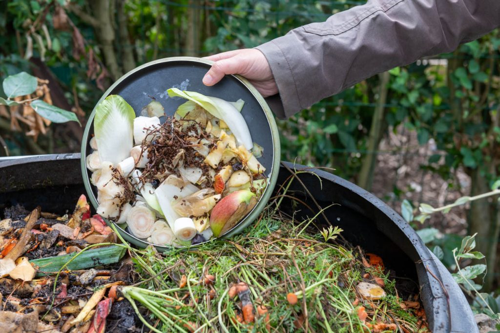 Utiliser correctement le compost dans le jardin - Mon Jardin Ideal