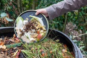 Compost Jardin