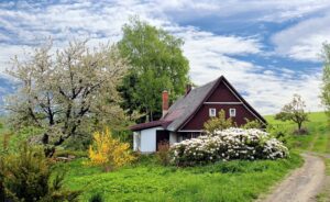 maison avec jardin