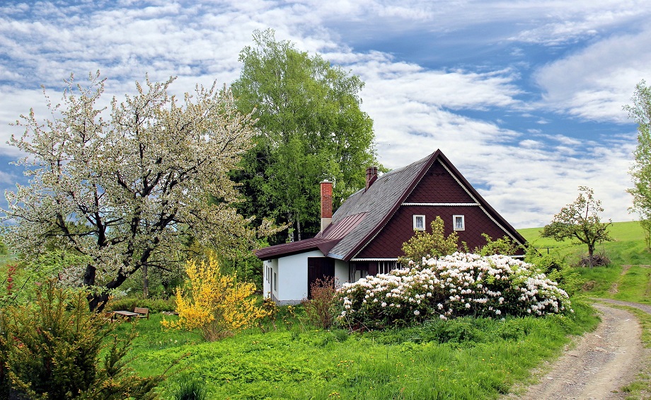 maison avec jardin