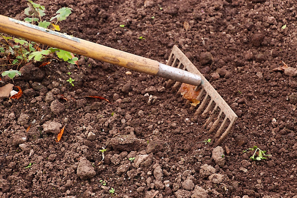 enlever mauvais herbe