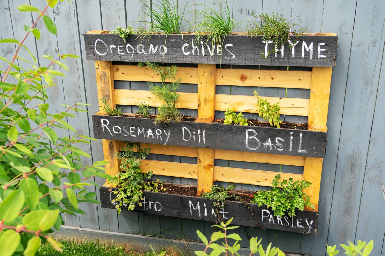 potager palettes en bois