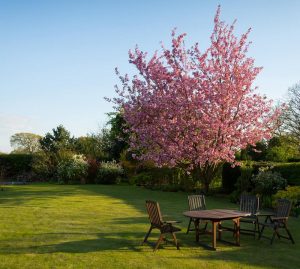 table jardin