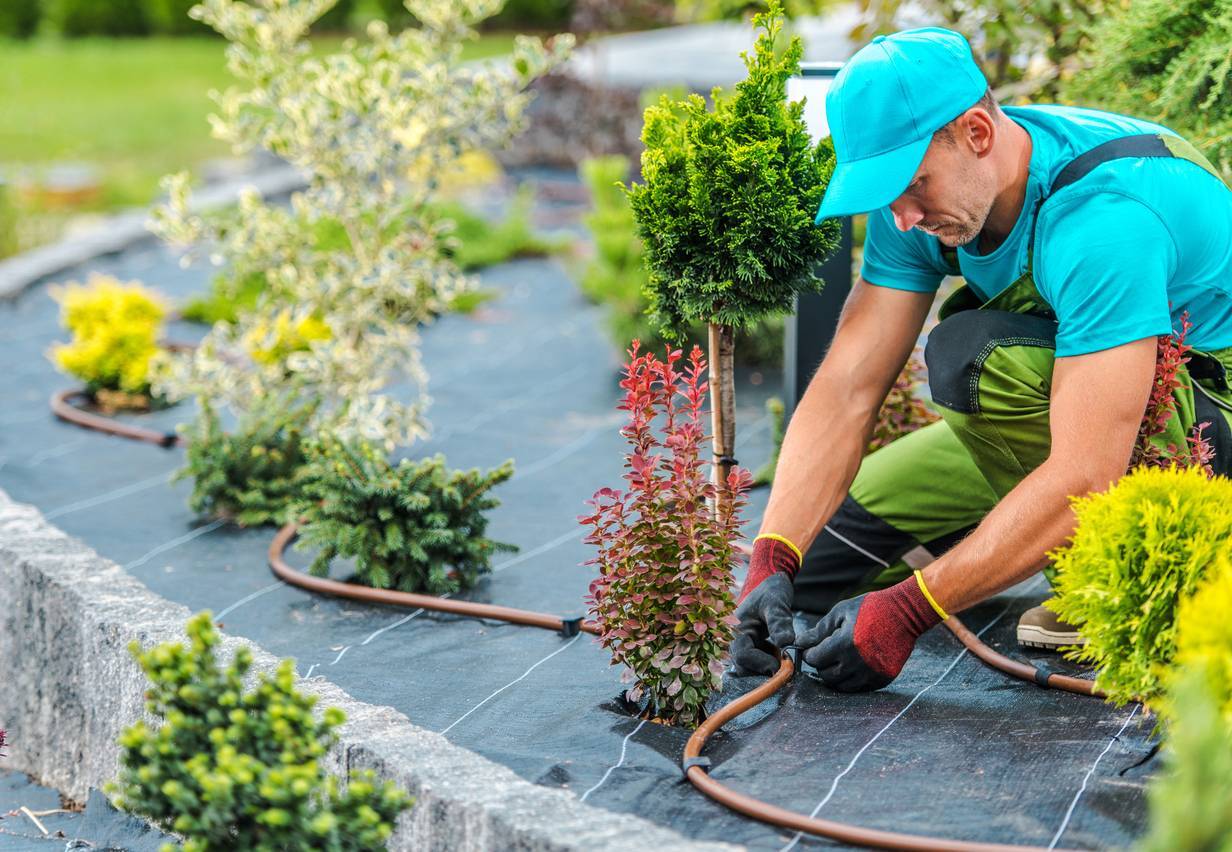 faire appel à un paysagiste professionnel