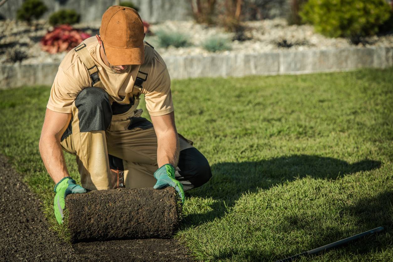 paysagiste professionnel à Toul