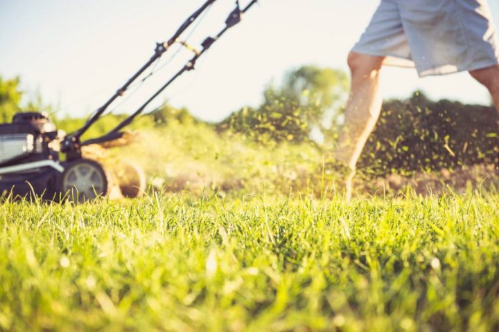 équipements potager motobineuse