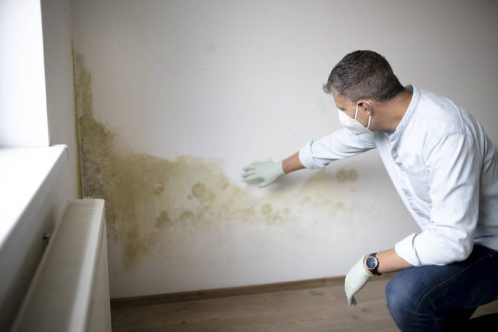 homme en train de traiter un mur humide