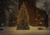 Comment_avoir_un_sapin_de_Noël_parfait_?_Nos_conseils