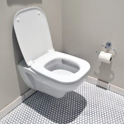 Papier_toilette_ou_douchette_de_toilettes_:_quel_est_le_meilleur_choix_pour_la_santé_?