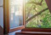 visuel-le-bois-pour-vos-fenetres-un-choix-durable-et-responsable.jpg